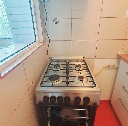 Apartment Prisaca Dornei
